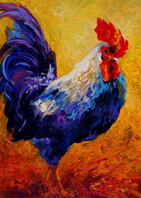 Rooster 